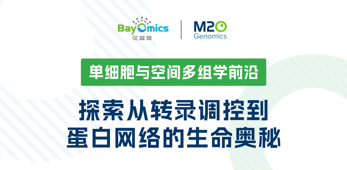 单细胞与空间多组学前沿:探索从转录调控到蛋白网络的生命奥秘