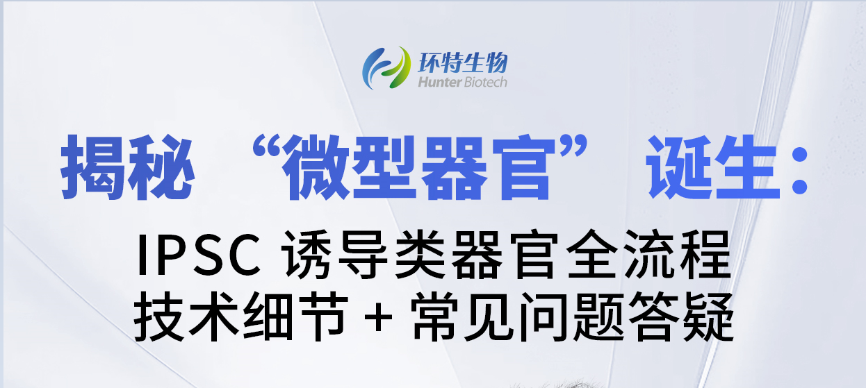 揭秘“微型器官”诞生：IPSC 诱导类器官全流程技术细节+常见问题答疑