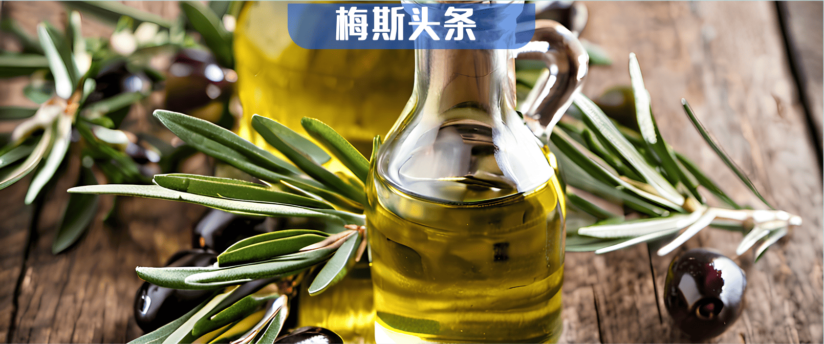 大反轉(zhuǎn)！橄欖油從“防癌”到促轉(zhuǎn)移？最新研究：橄欖油吃太多，會(huì)促進(jìn)三陰性乳腺癌肺轉(zhuǎn)移，關(guān)鍵是這一信號(hào)通路！