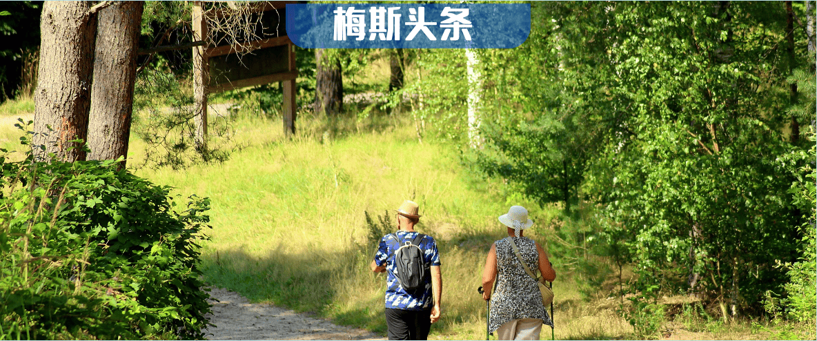 大脑能力32岁才达巅峰！Cell和Nature子刊：一生有4个转折点，32岁正值高效“换挡”期，但内分泌率先失守，开始断崖式衰老