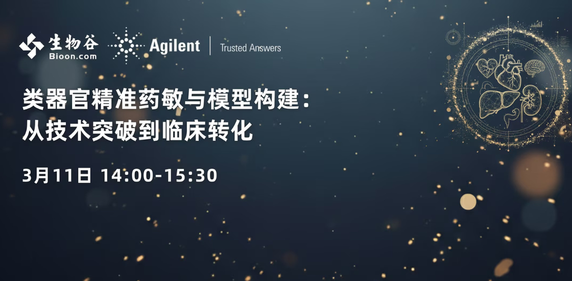 类器官精准药敏与模型构建：从技术突破到临床转化