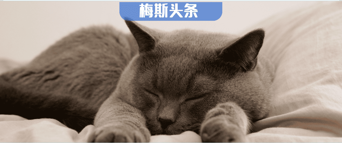 熬大夜，不仅“报废”大脑，还更易发胖！最新研究：大脑每天需10h保养，睡不够更易痴呆，流失肌肉；且睡眠<7h心脏风险飙升，但这几招可解