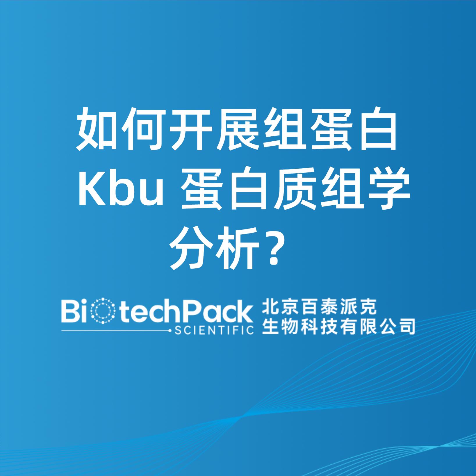 如何開展組蛋白 Kbu 蛋白質組學分析？