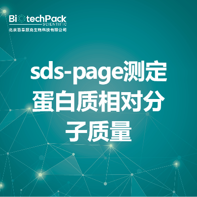 sds-page测定蛋白质相对分子质量