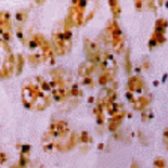 https://msimg.bioon.com/bionline/goods-no-pic.png
