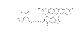 6-TET亚磷酰胺单体 [5’-四氯荧光素氨基磷酸酯]*CAS 877049-90-6*