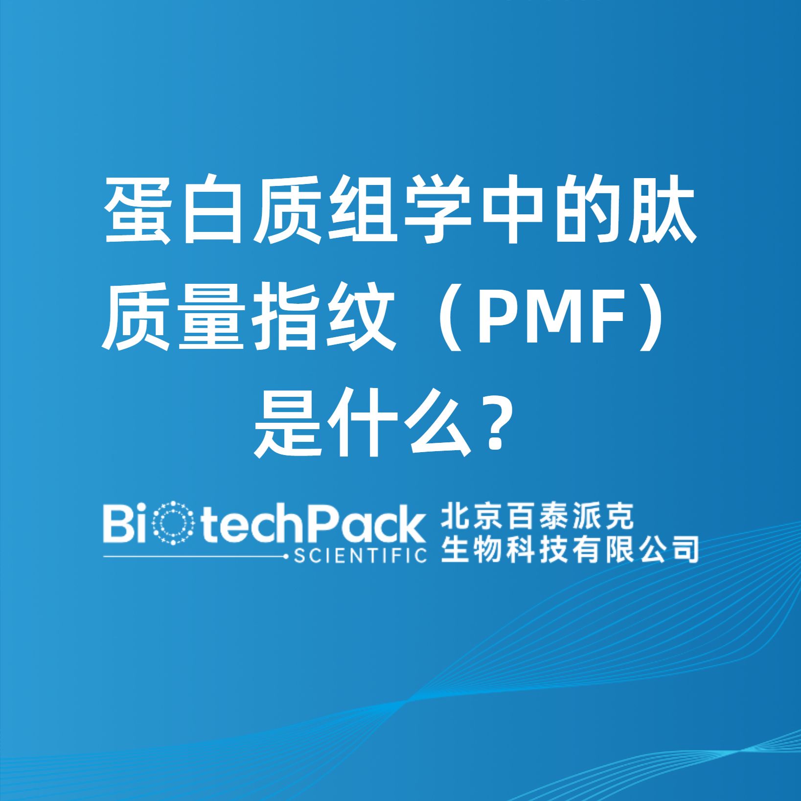 蛋白質組學中的肽質量指紋（PMF）是什么？