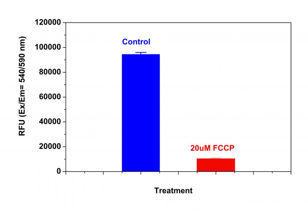 https://img.medsci.cn/e73eefcea40976357f460123cbf1e819c54e5106c9b457225be13b1cbc991aff.png