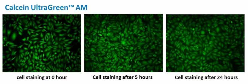 https://img.medsci.cn/e73eefcea40976357f460123cbf1e819c54e5106c9b457225be13b1cbc991aff.png