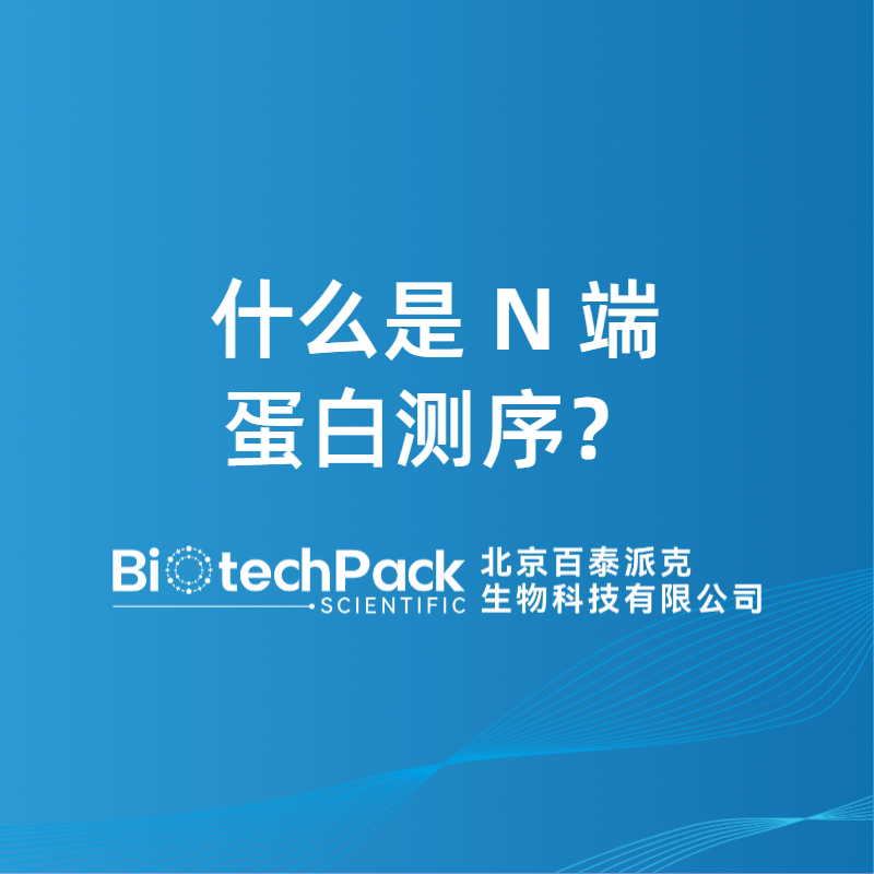 什么是 N 端蛋白测序？