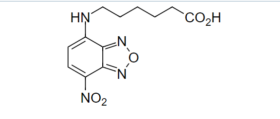 NBD-X 酸 CAS 88235-25-0