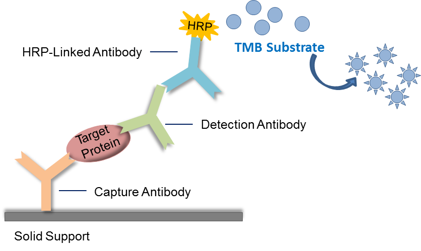 https://img.medsci.cn/09f7f9b396aaea8c5a2398de56f920980d508f8e7313325b130eae0a6c633bd4.png