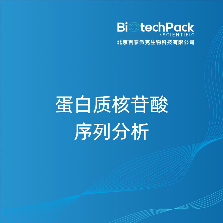 蛋白质核苷酸序列分析