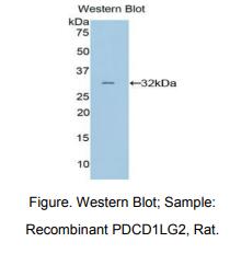 https://msimg.bioon.com/bionline/goods-no-pic.png