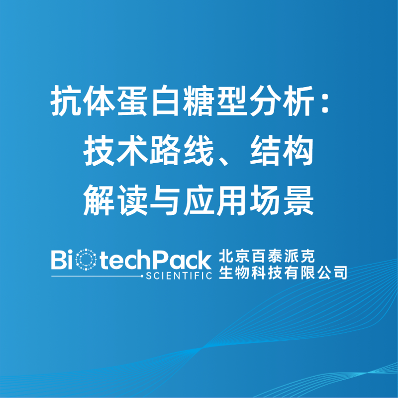 抗体蛋白糖型分析：技术路线、结构解读与应用场景