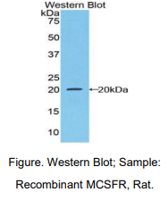 https://msimg.bioon.com/bionline/goods-no-pic.png