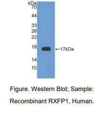 https://msimg.bioon.com/bionline/goods-no-pic.png