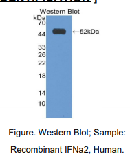 https://msimg.bioon.com/bionline/goods-no-pic.png