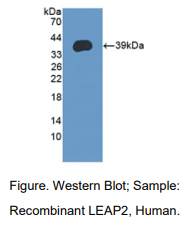 https://msimg.bioon.com/bionline/goods-no-pic.png