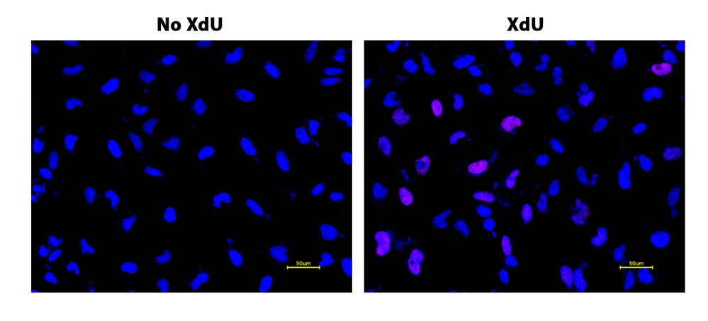 https://img.medsci.cn/e73eefcea40976357f460123cbf1e819c54e5106c9b457225be13b1cbc991aff.png