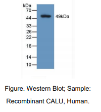 https://msimg.bioon.com/bionline/goods-no-pic.png