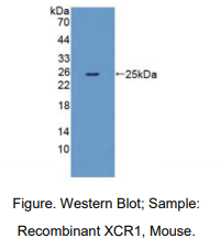 https://msimg.bioon.com/bionline/goods-no-pic.png