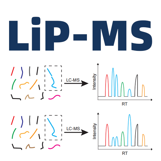 谱度众合 | LiP-MS药物靶点筛选服务