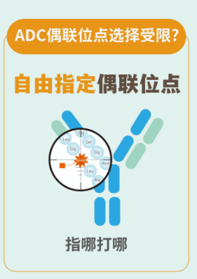 非天然氨基酸插入服务