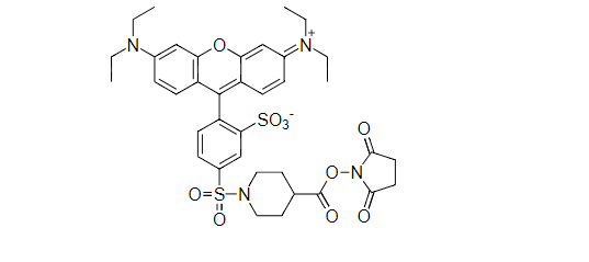 核酸多肽蛋白标记 LRB Red SE