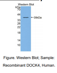 https://msimg.bioon.com/bionline/goods-no-pic.png