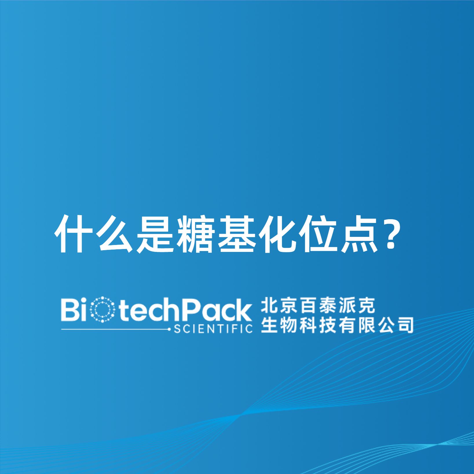 什么是糖基化位点？