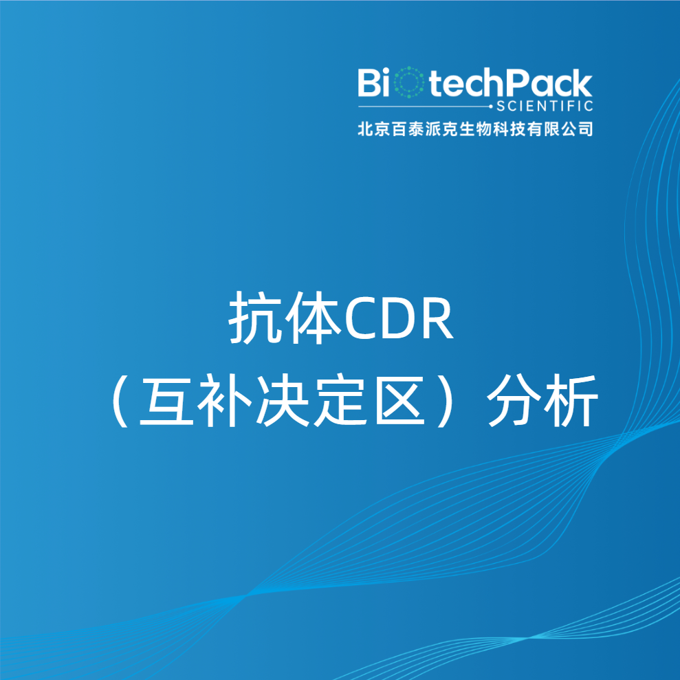 抗体CDR（互补决定区）分析