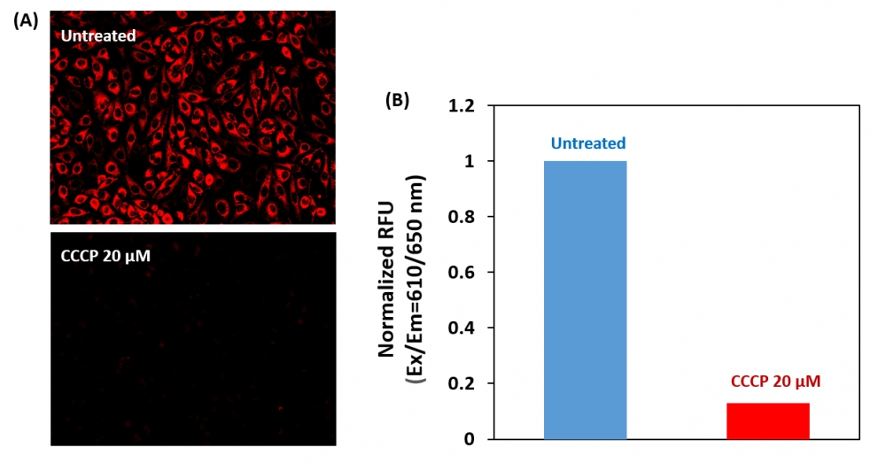 https://img.medsci.cn/e73eefcea40976357f460123cbf1e819c54e5106c9b457225be13b1cbc991aff.png