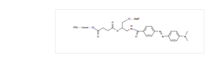 3'-DABCYL CPG *1000Å*