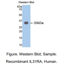 https://msimg.bioon.com/bionline/goods-no-pic.png