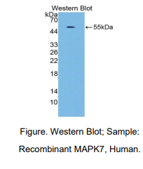 https://msimg.bioon.com/bionline/goods-no-pic.png