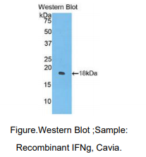 https://msimg.bioon.com/bionline/goods-no-pic.png