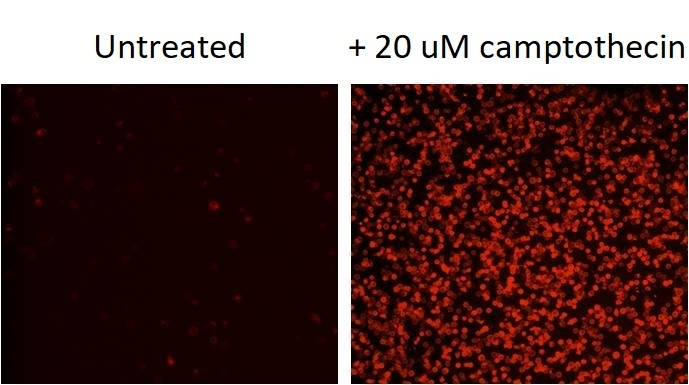 https://img.medsci.cn/e73eefcea40976357f460123cbf1e819c54e5106c9b457225be13b1cbc991aff.png