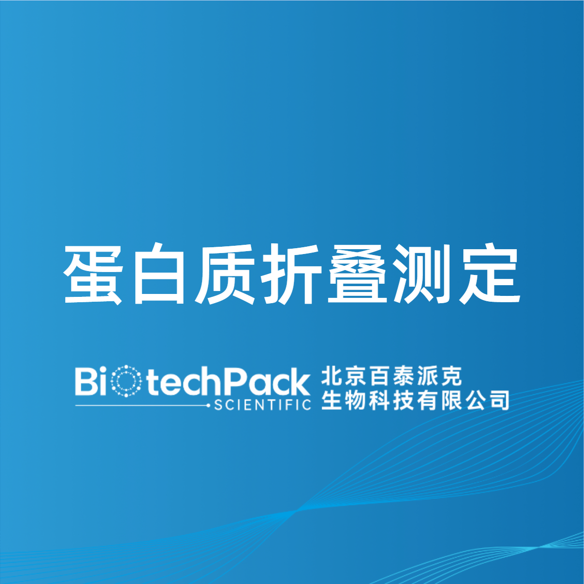 蛋白质折叠测定