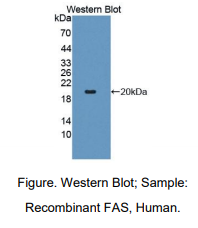 https://msimg.bioon.com/bionline/goods-no-pic.png