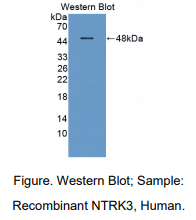 https://msimg.bioon.com/bionline/goods-no-pic.png