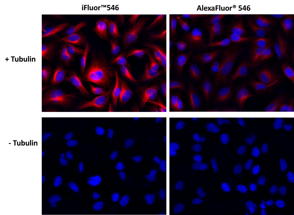 https://img.medsci.cn/e73eefcea40976357f460123cbf1e819c54e5106c9b457225be13b1cbc991aff.png