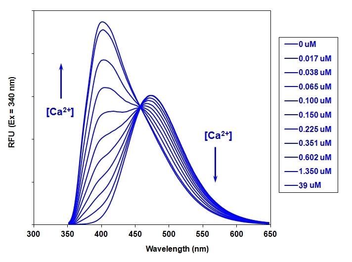 钙离子荧光探针Indo-1,五钠盐
