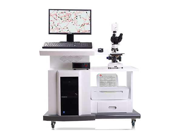 精子质量检测系统