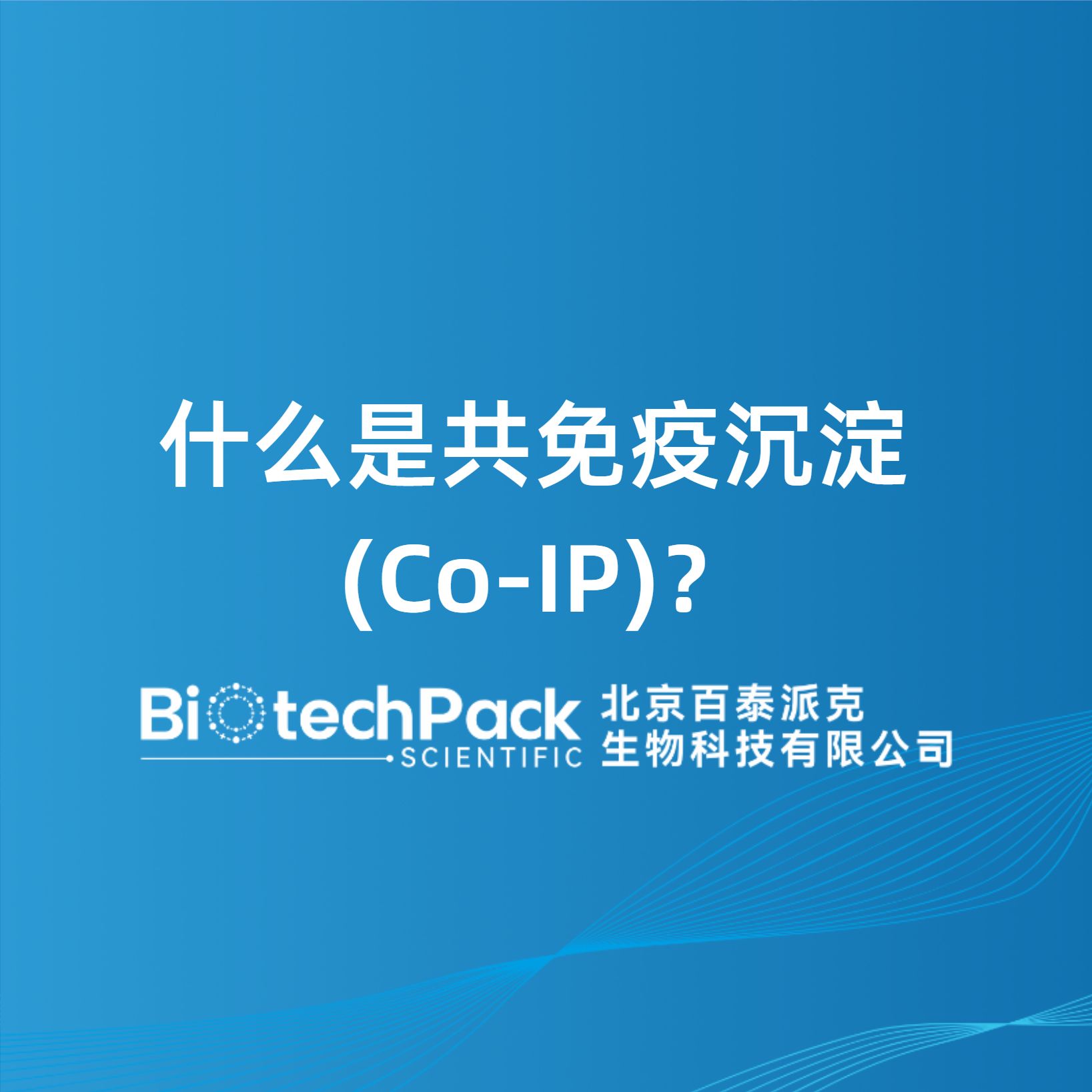 什么是共免疫沉淀 (Co‑IP)？