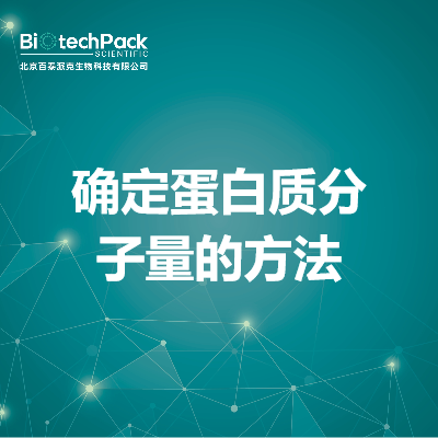 确定蛋白质分子量的方法