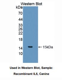 https://msimg.bioon.com/bionline/goods-no-pic.png