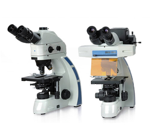 WMS-3560生物显微镜
