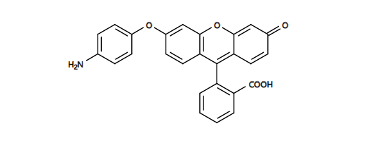 CytoTrace红色荧光示踪探针CMTPX