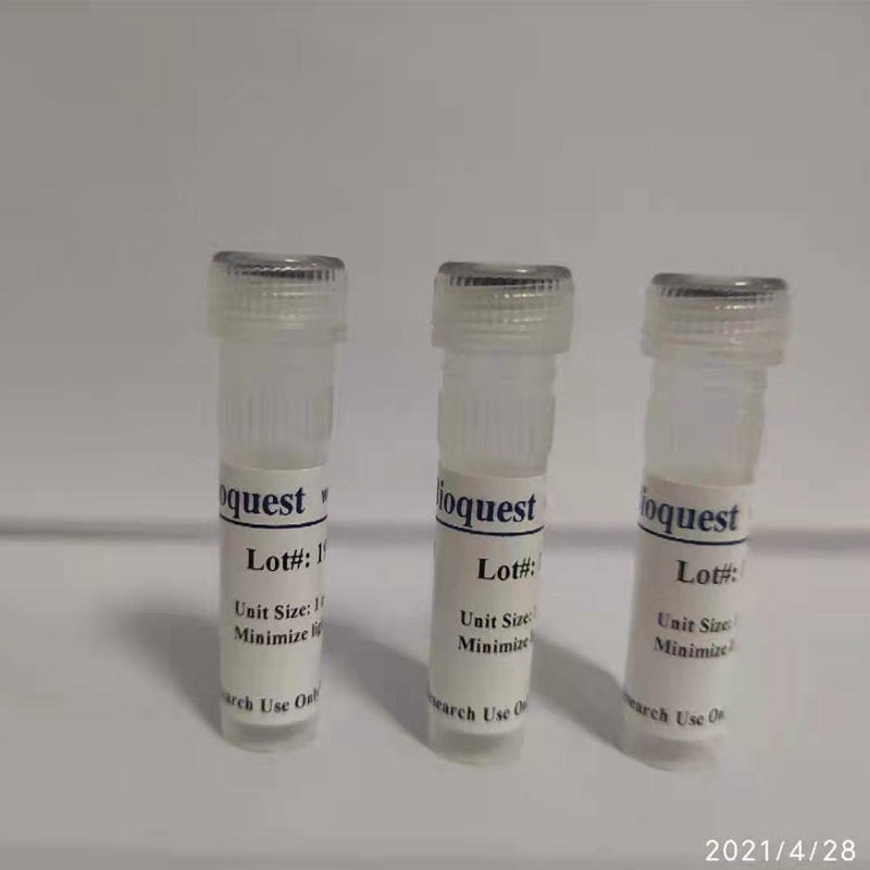 细胞膜荧光探针DiI,碘化物